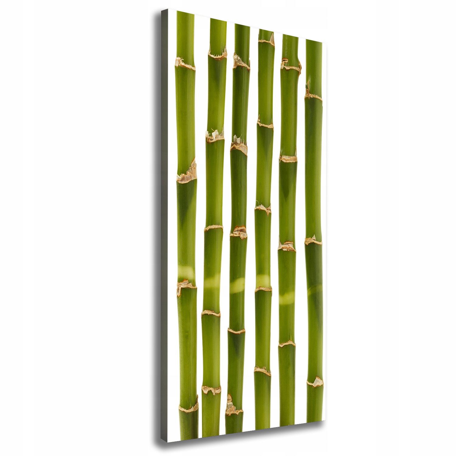 

Nowoczesny fotoobraz canvas na ramie Bambus 50x125