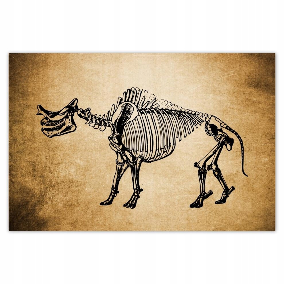 

Plakat 93x62 Dinozaur Prehistoria Dino