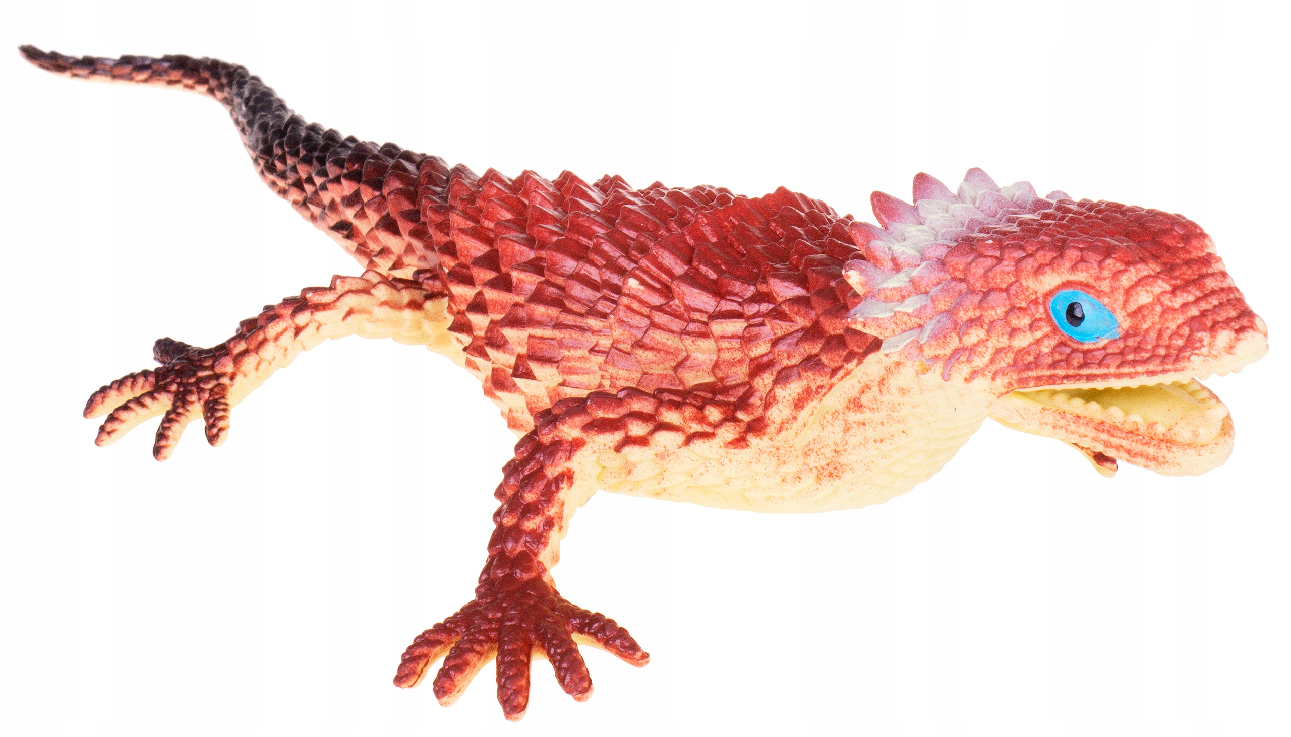 

Jaszczurka Kolczasta Cordylidae Gumowa Jaszczur Bo