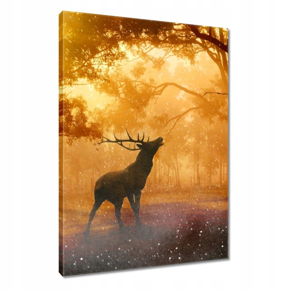 

Obrazy 40x60 Jeleń w lesie