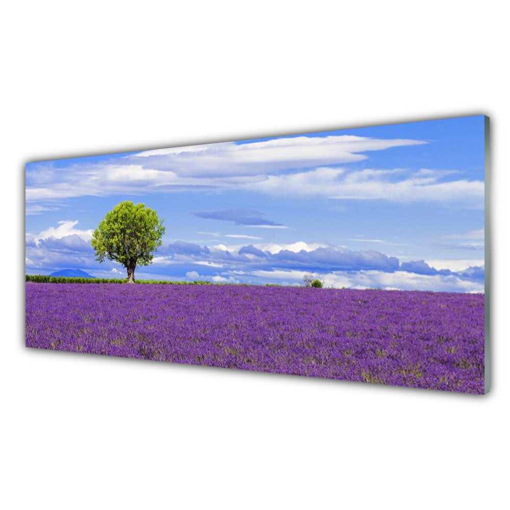 

Fotoobraz akryl 125x50 Pole Lawendy Drzewo Natura