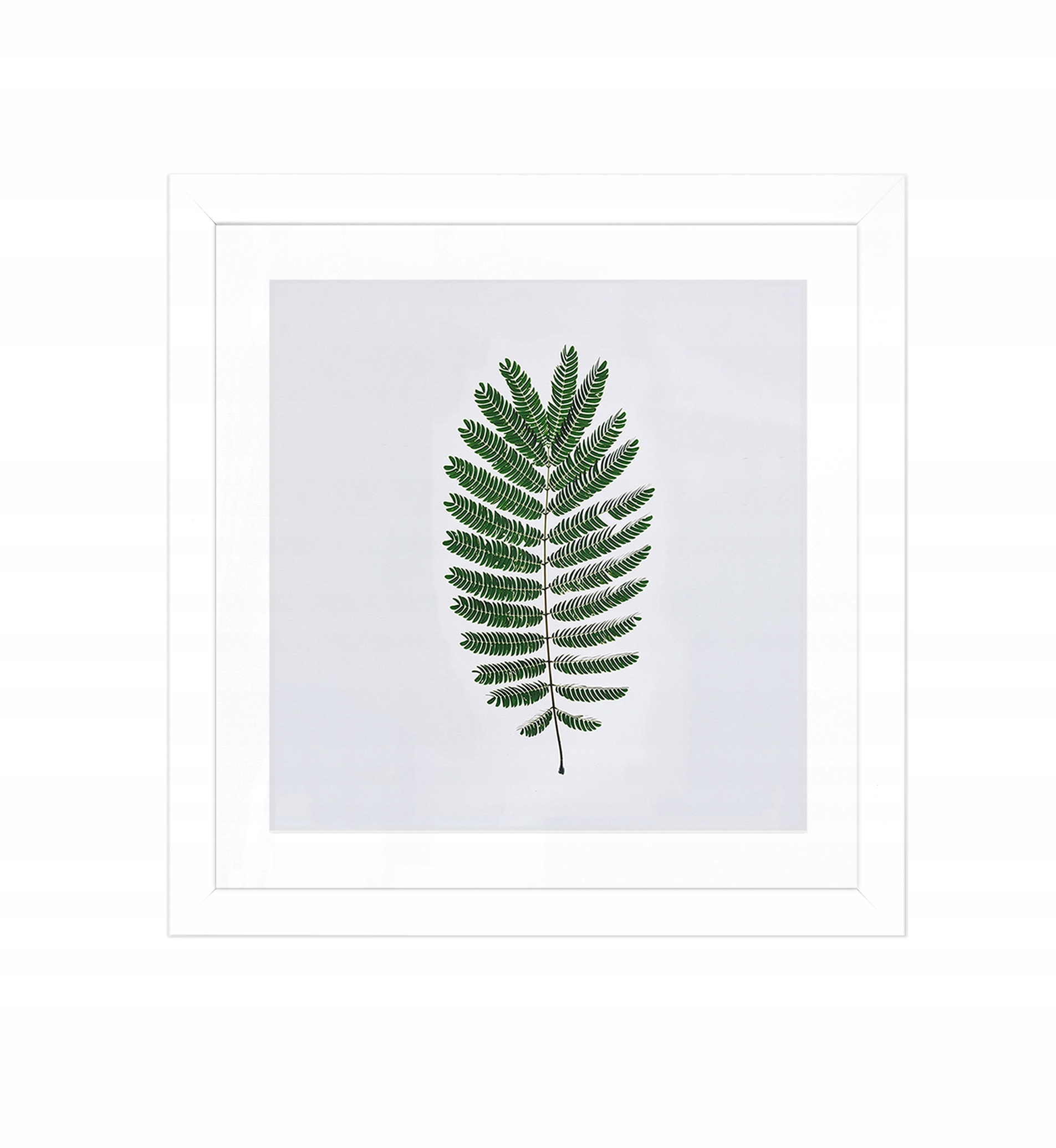 

Ramka Na Zdjęcia 40x40 Passe-partout Ramki Biała