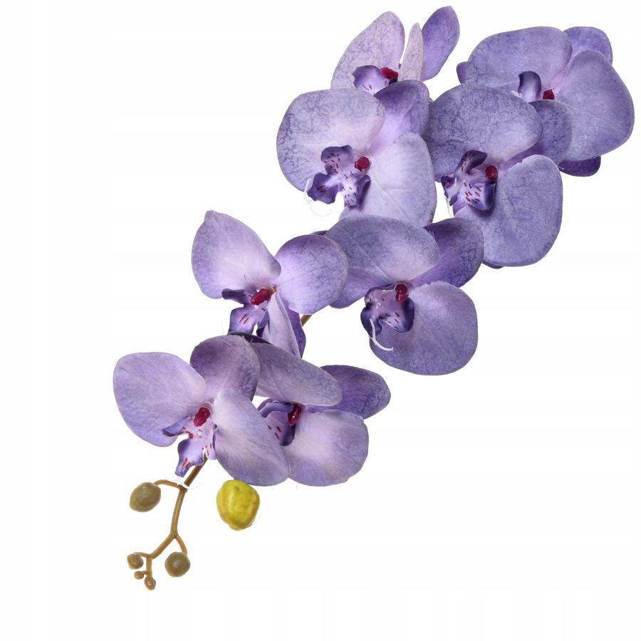 

Storczyk satynowy fioletowoniebieski 92cm Sztuczny