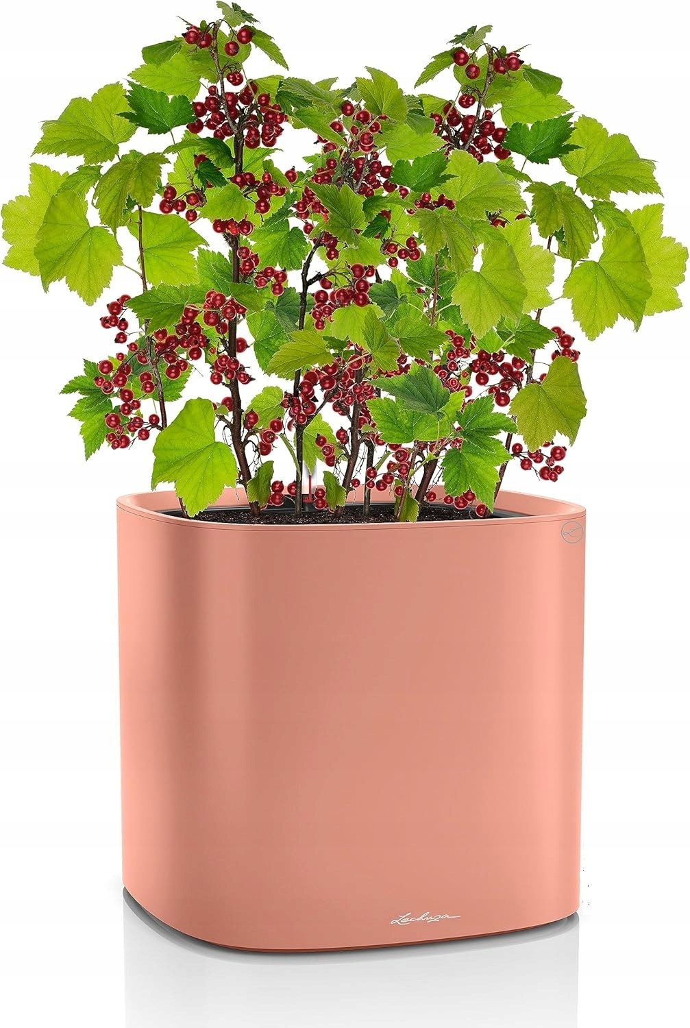 Lechuza Kvetináč Systém Samozavlažovania Ružová Matná 35x35x33 cm