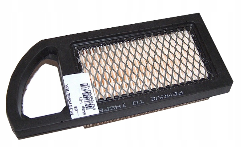 Filtr Powietrza Briggs Stratton 698413