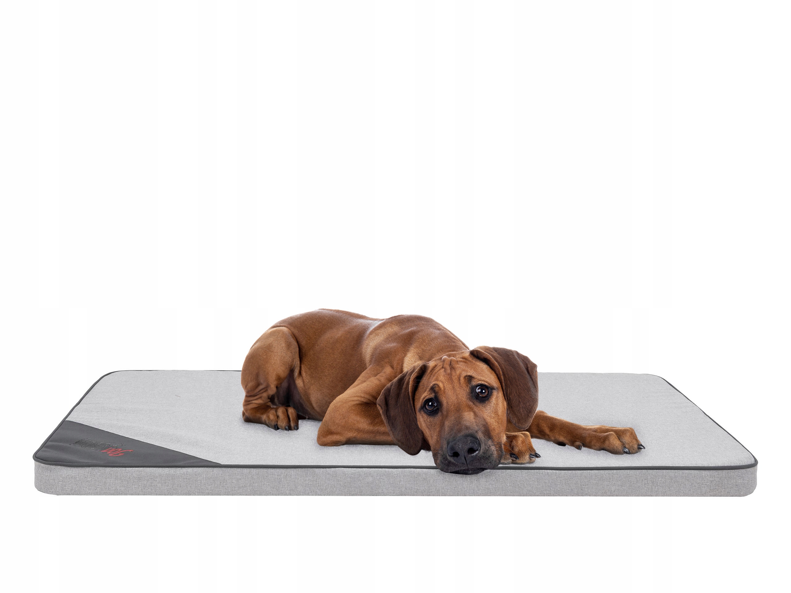 Levně Matrace Light, Pelíšek Hobbydog velké XL 120x80