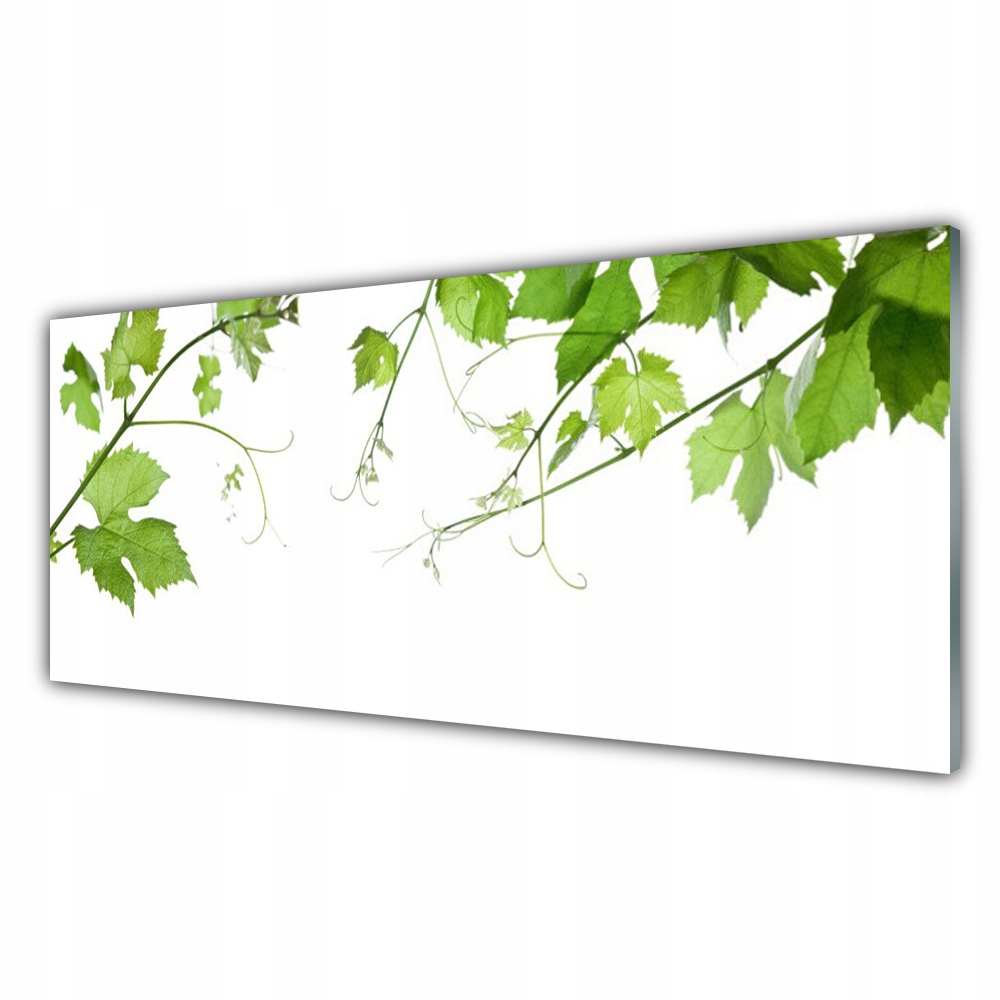 

Obraz akrylowy 125x50 Gałęzie Liście Natura Kwiaty