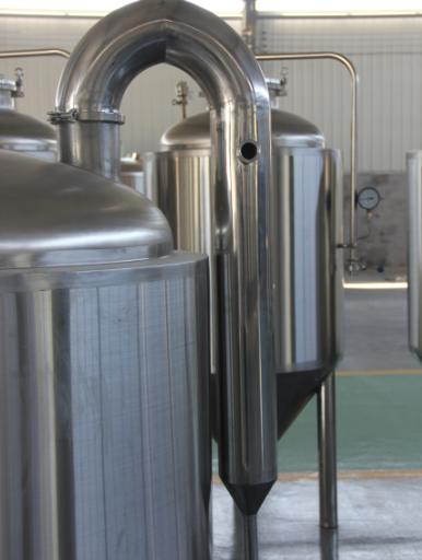 Mini bravoras alaus gamybai 100 l papildomas variantas