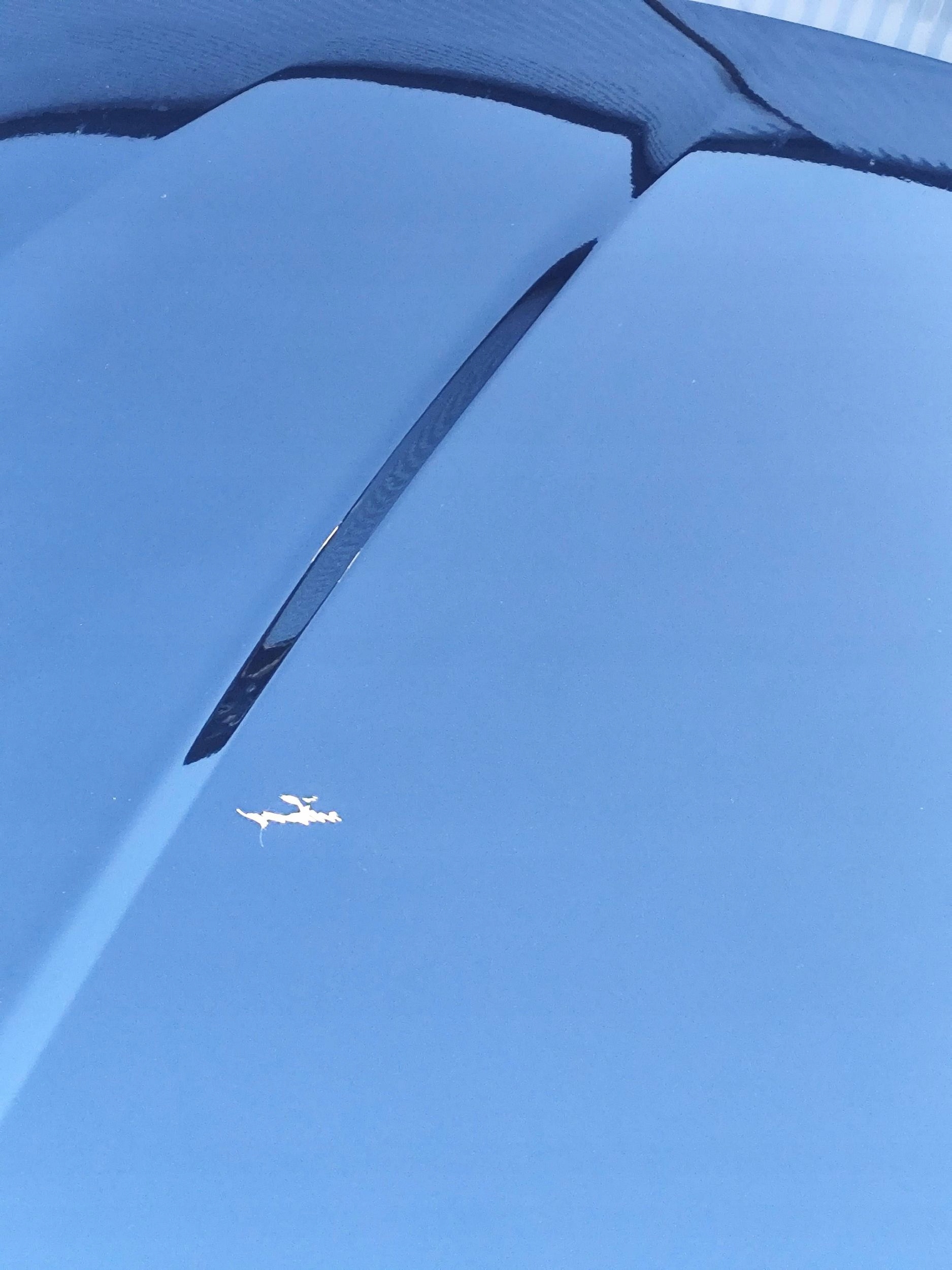 MASERATI GRECALE Capot Complète DEMONTAZ
