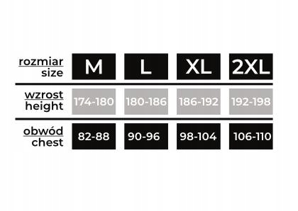MORAJ PODKOSZULKA KOSZULKA MĘSKA CZARNA - XL Kod producenta BMP650-002