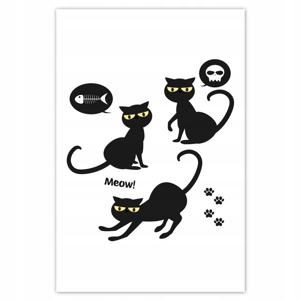 

Plakaty 40x60 Kot Kotki Koty Kicia