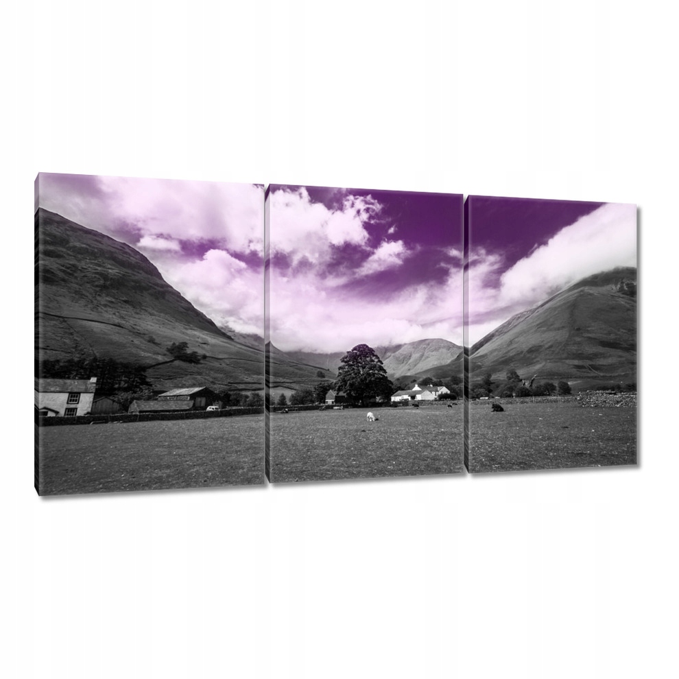 

Obrazy 120x60 Fioletowe niebo