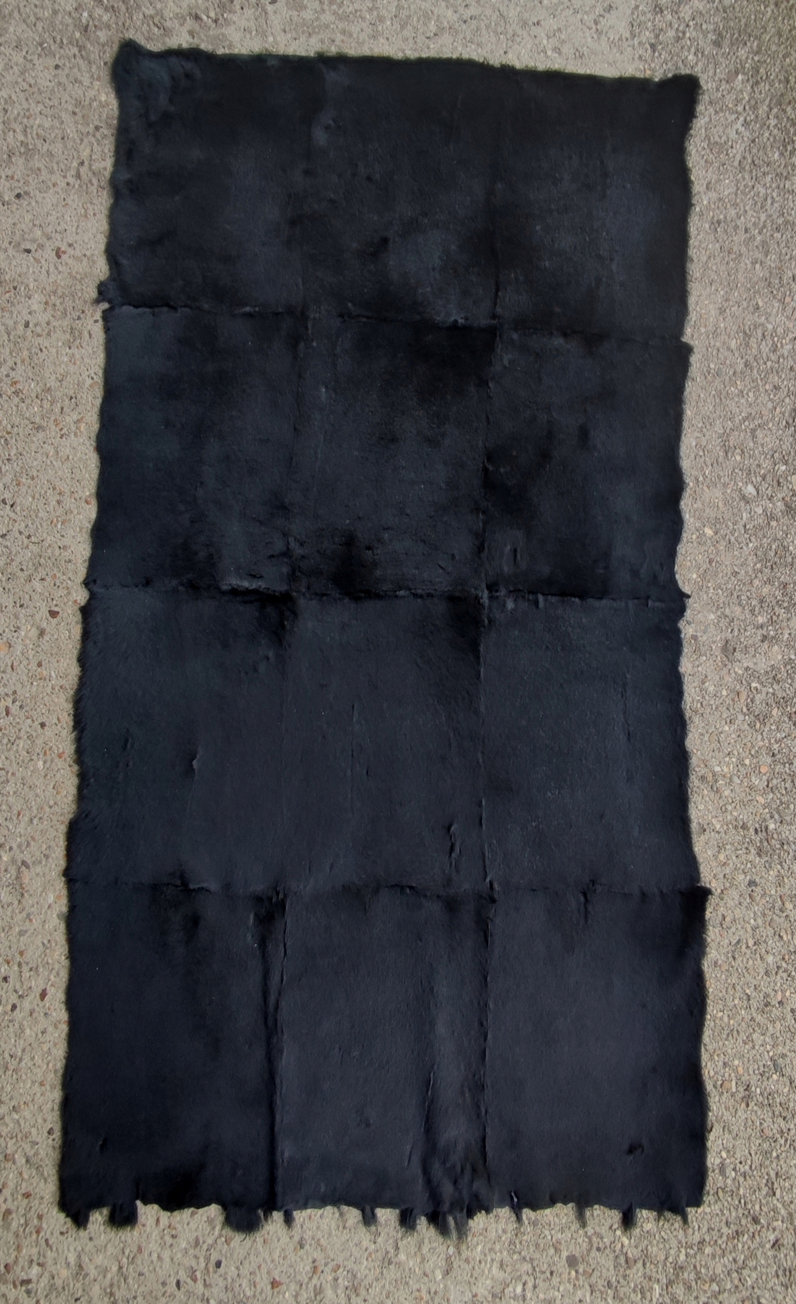 Blázen z černého králíka stříhaný