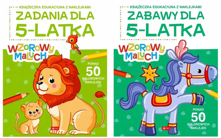 

Zestaw Wzorowy Maluch Zabawy Zadania Dla 5-LATKA