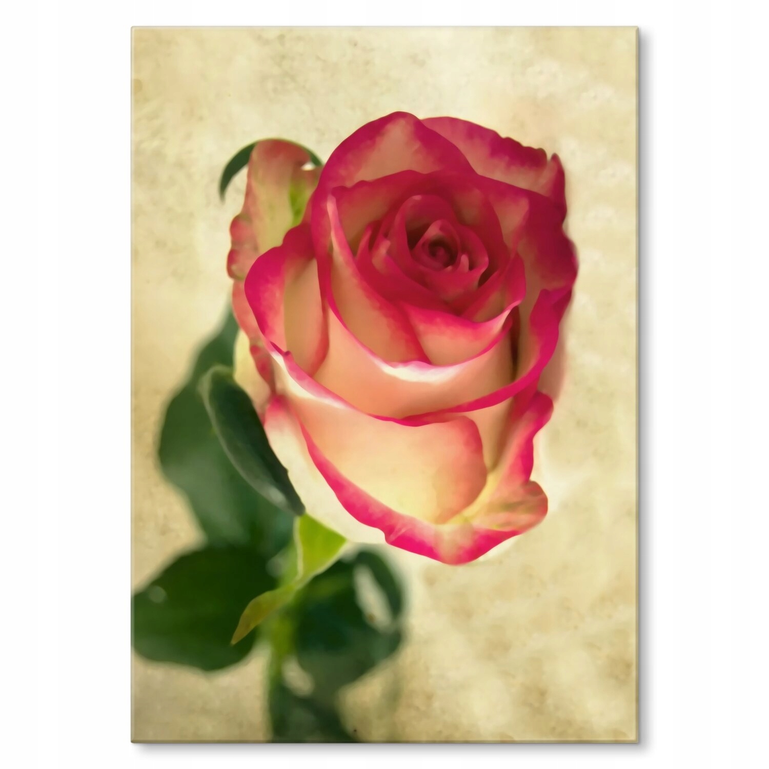 Kovový plakát natural rose Szyld Plech 30 x 42 cm Dárek