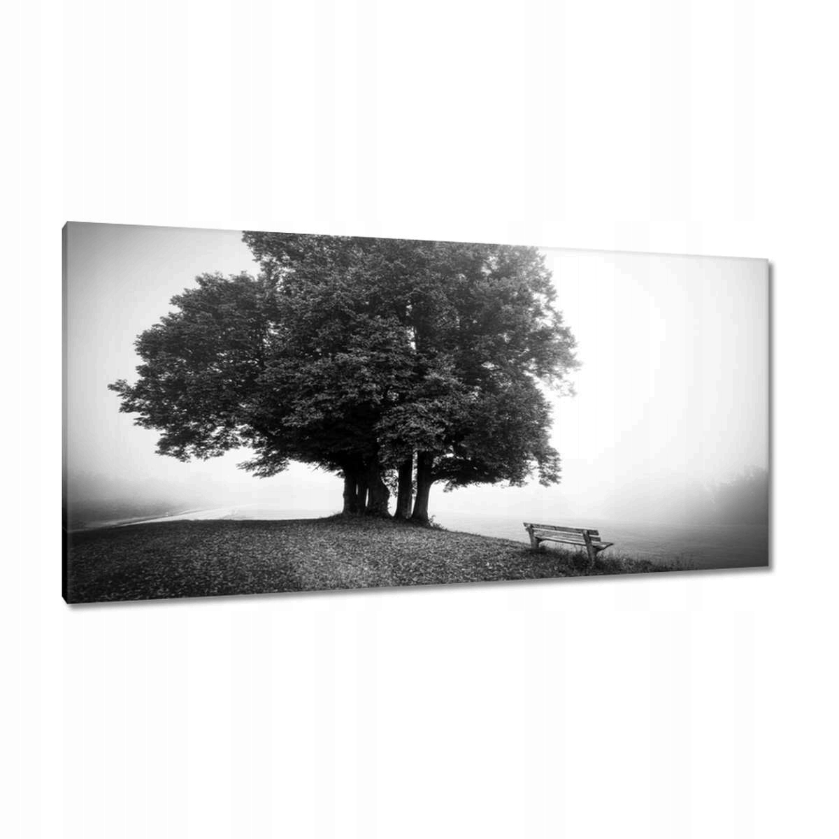 Obrazy 115x55 Krajina v šedé barvě Bw