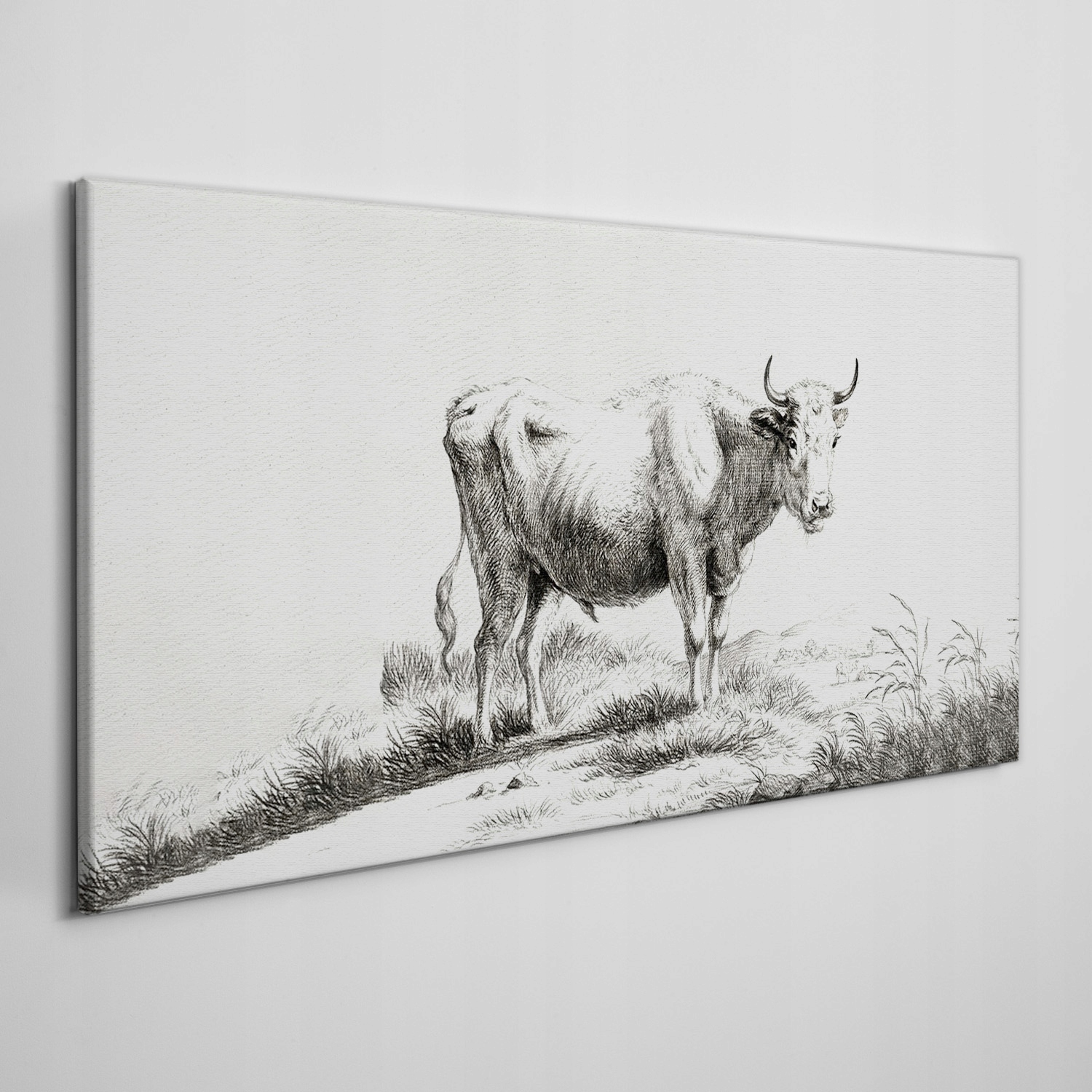 

Foto-obraz na ramie płótno Zwierzę krowa 100x50 cm