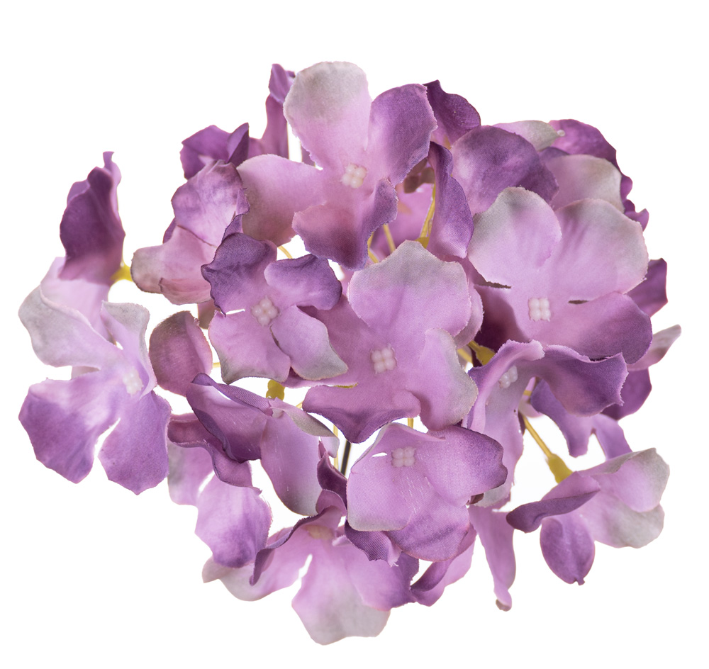 

Hortensja wyrobowa fioletowa do wiązanek