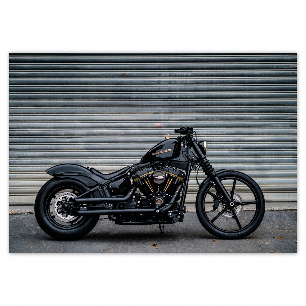 

Fototapety flizelina 416x290 Harley Davidson Motor