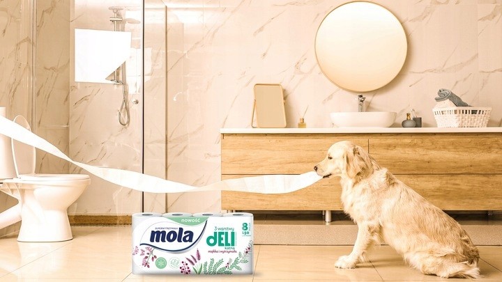Papier toaletowy Mola Delikatna 8 rolek PAKIET Kod producenta 800369