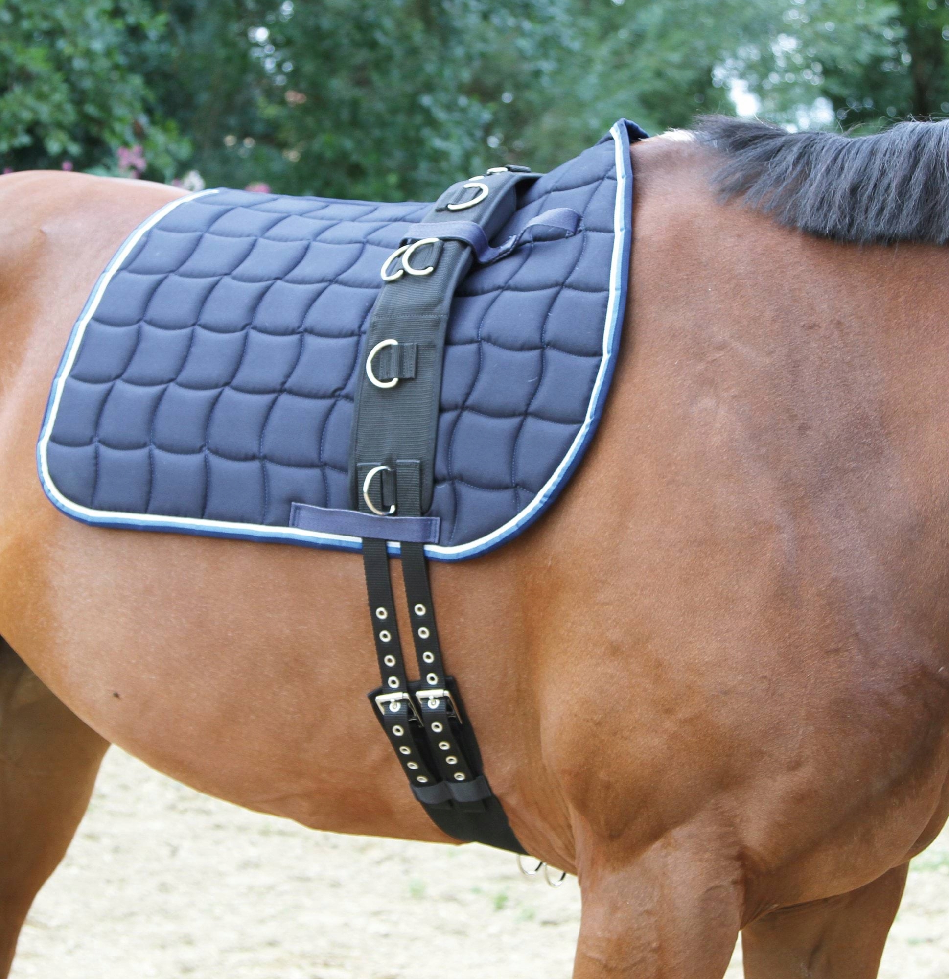 Pas do lonżowania, roz. Pony, Covalliero Kod producenta 32354