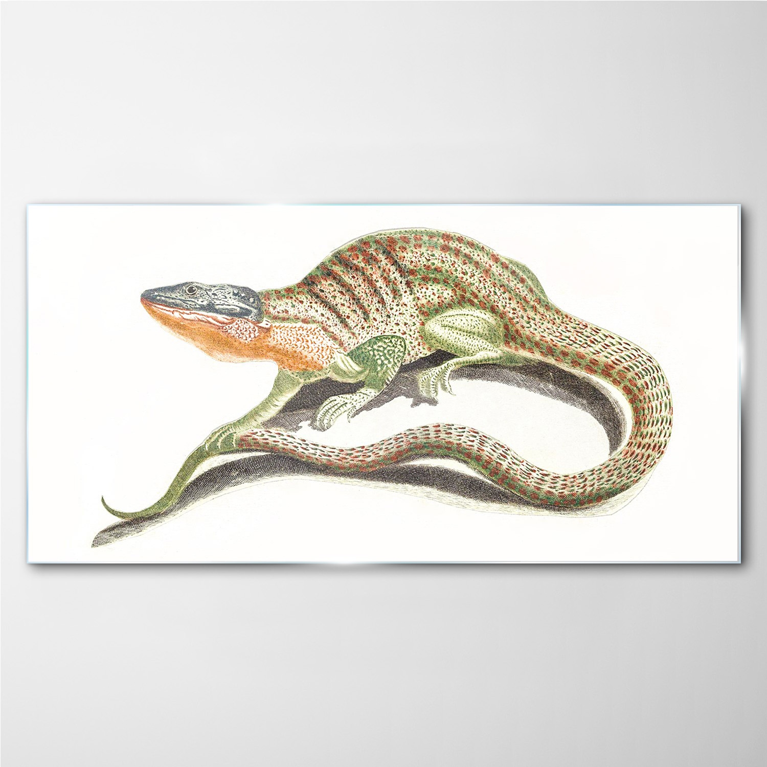 

Foto-obraz szklany Zwierzę jaszczurka 140x70 cm