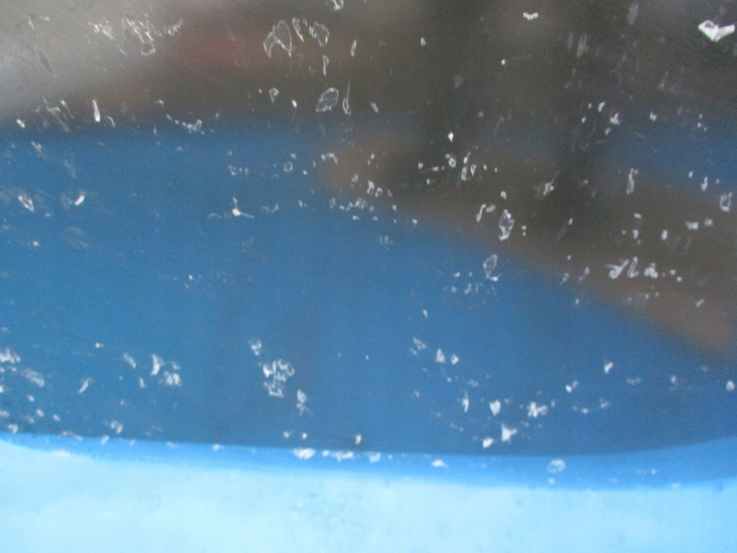 DRZWI LEWE TYŁ SMART FORFOUR NOWE ORYGINALNE Strona zabudowy tył - lewa