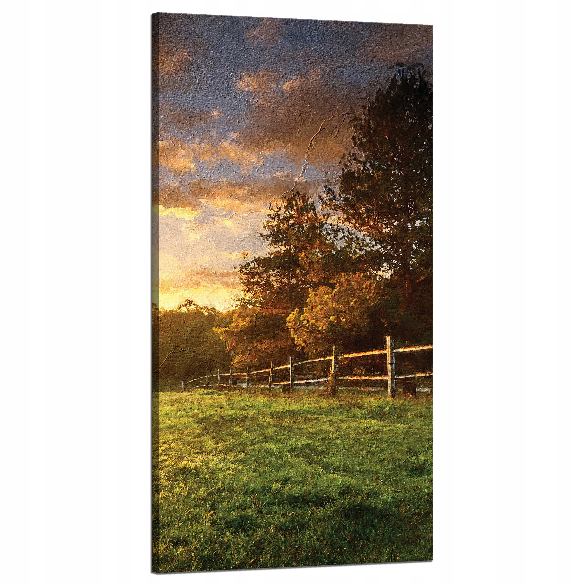 Obraz na plátně Slunce Krajina Venkovské stromy Louka 60x120 cm