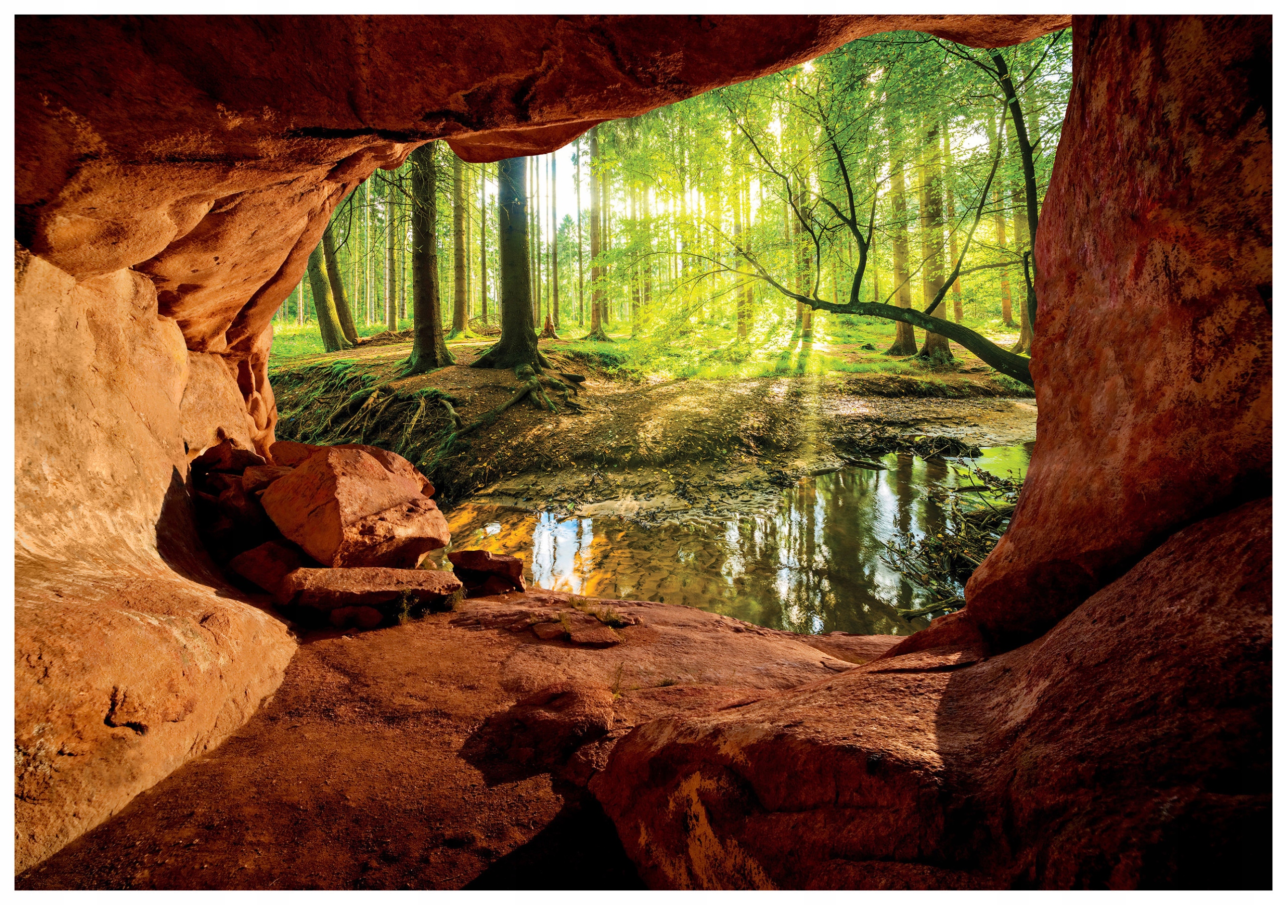 Fototapeta Jaskyňa zelená kamene pokoj stromy svetlo 460x300 lepidlo