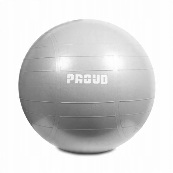 

Duża Piłka Gimnastyczna Rehabilitacyjna 65CM Proud