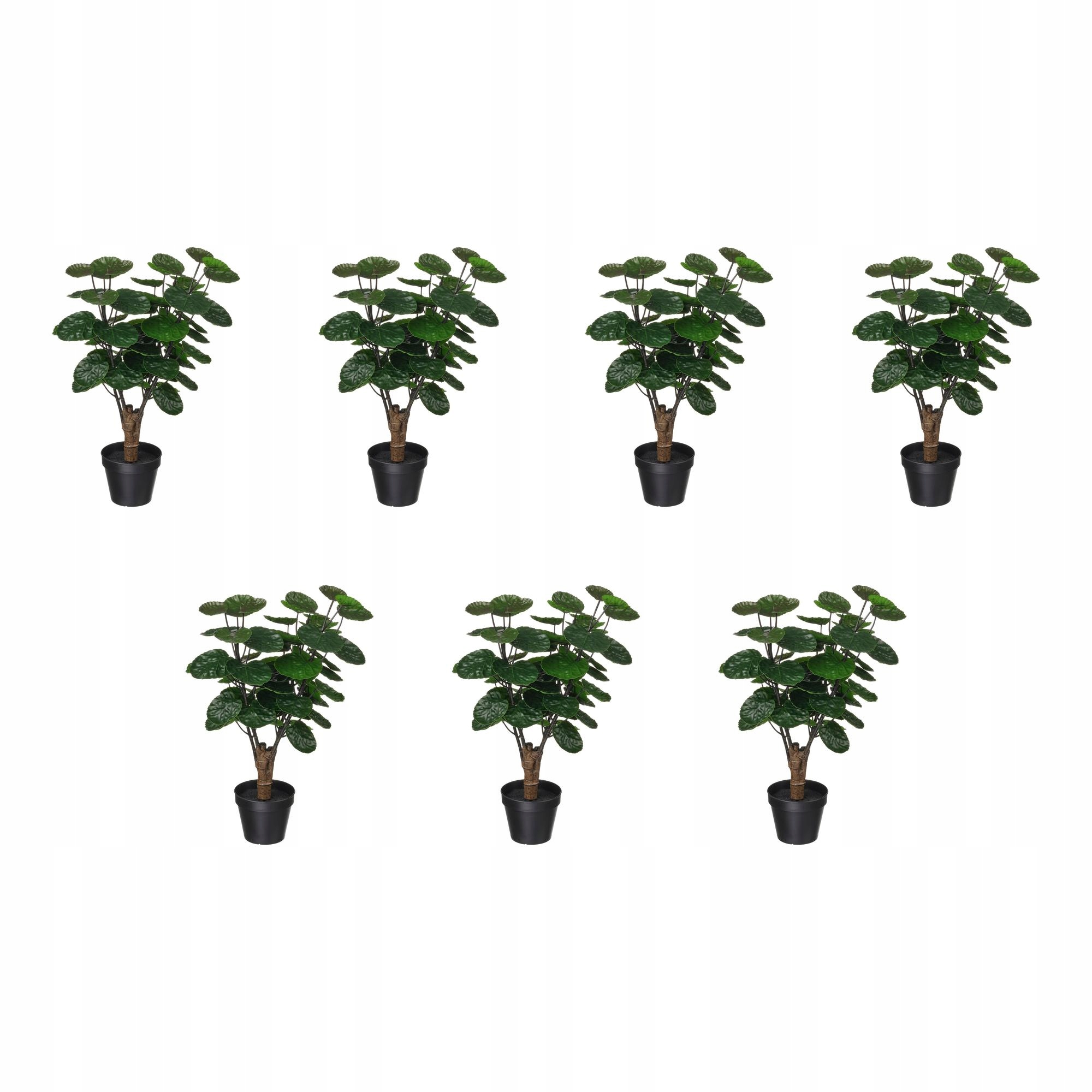 7 szt. Sztuczna roślina doniczkowa Aralia 12 cm do wnętrz i na zewnątrz