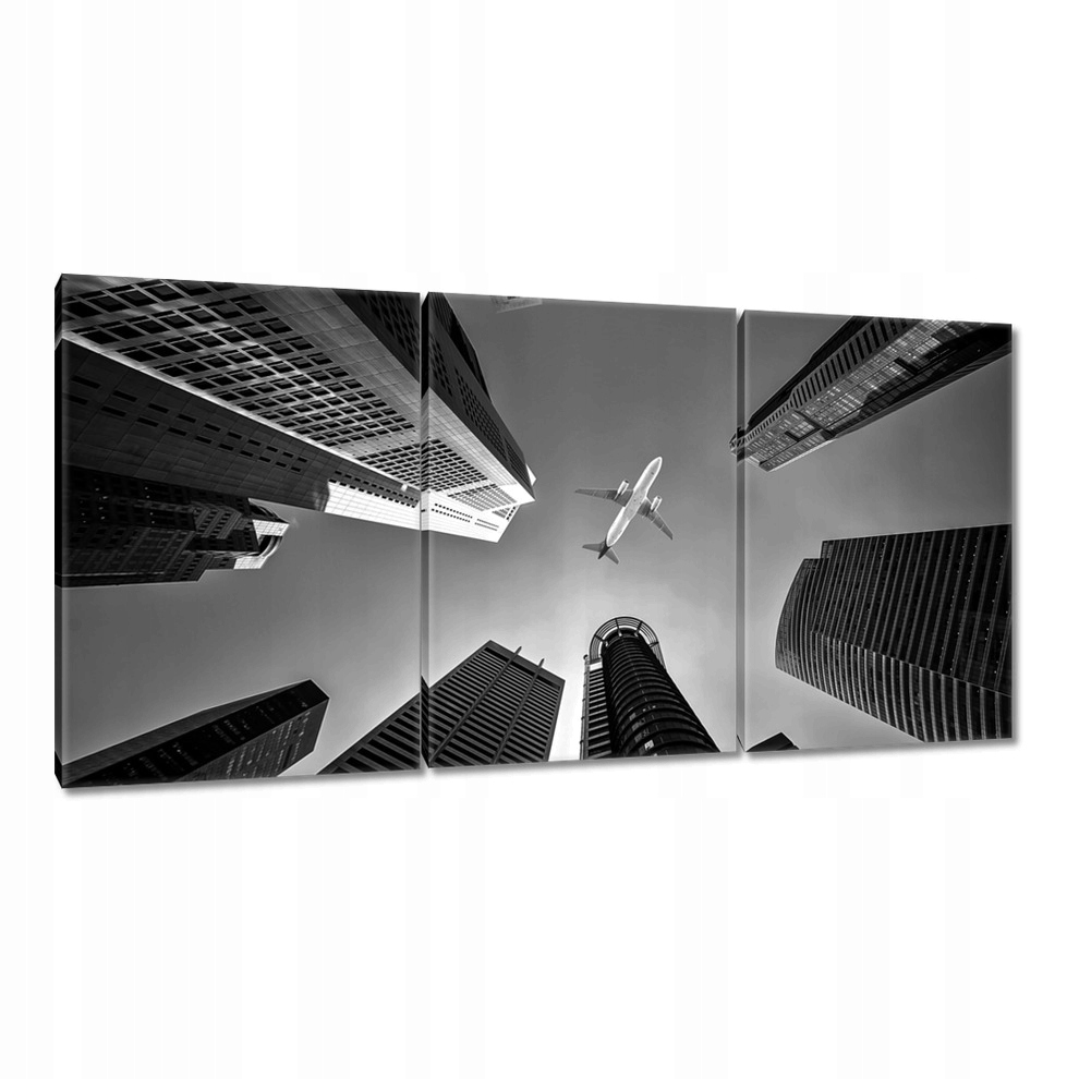 

Obrazy 240x120 Samolot nad miastem