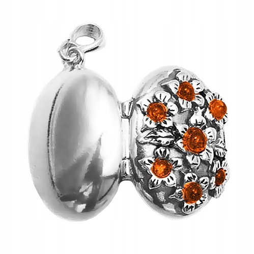 Stříbrný Tajemník, přívěsek Medailon s originálním baltský jantar Stříbro 925