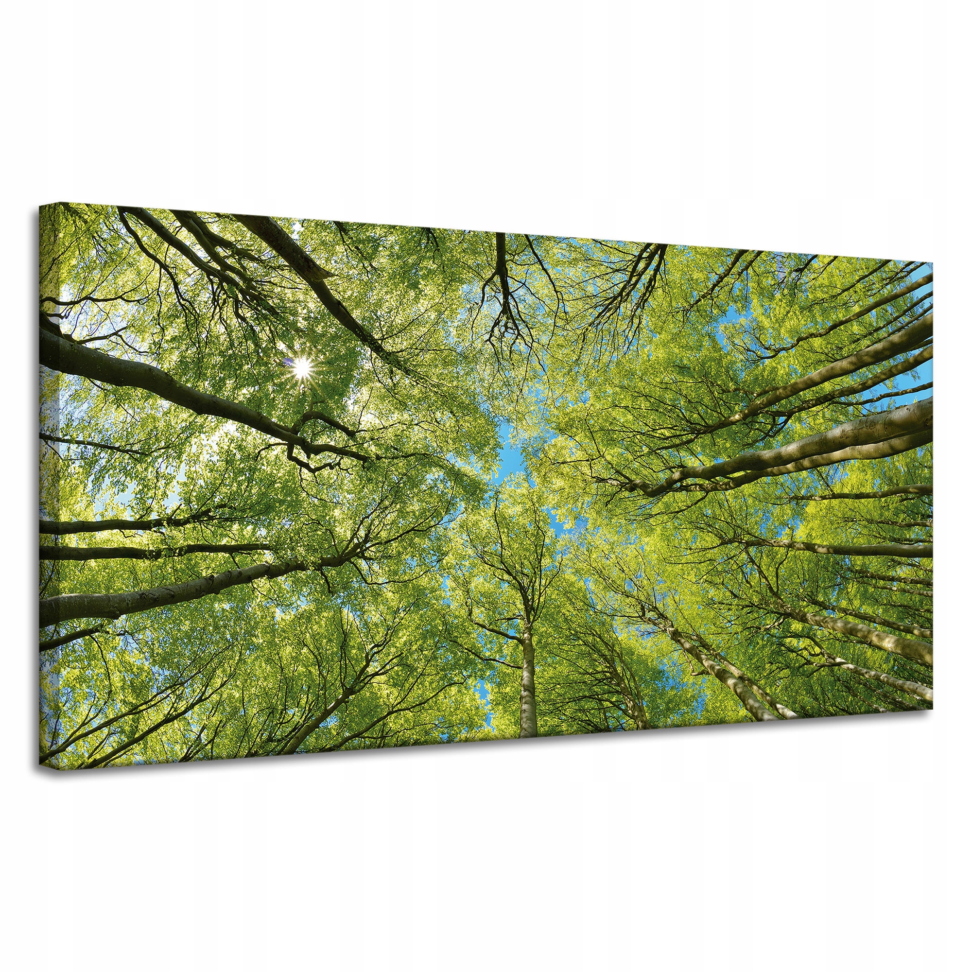 Obraz na plátně Listy Stromy Zeleň Slunce Nebe 120x60 cm