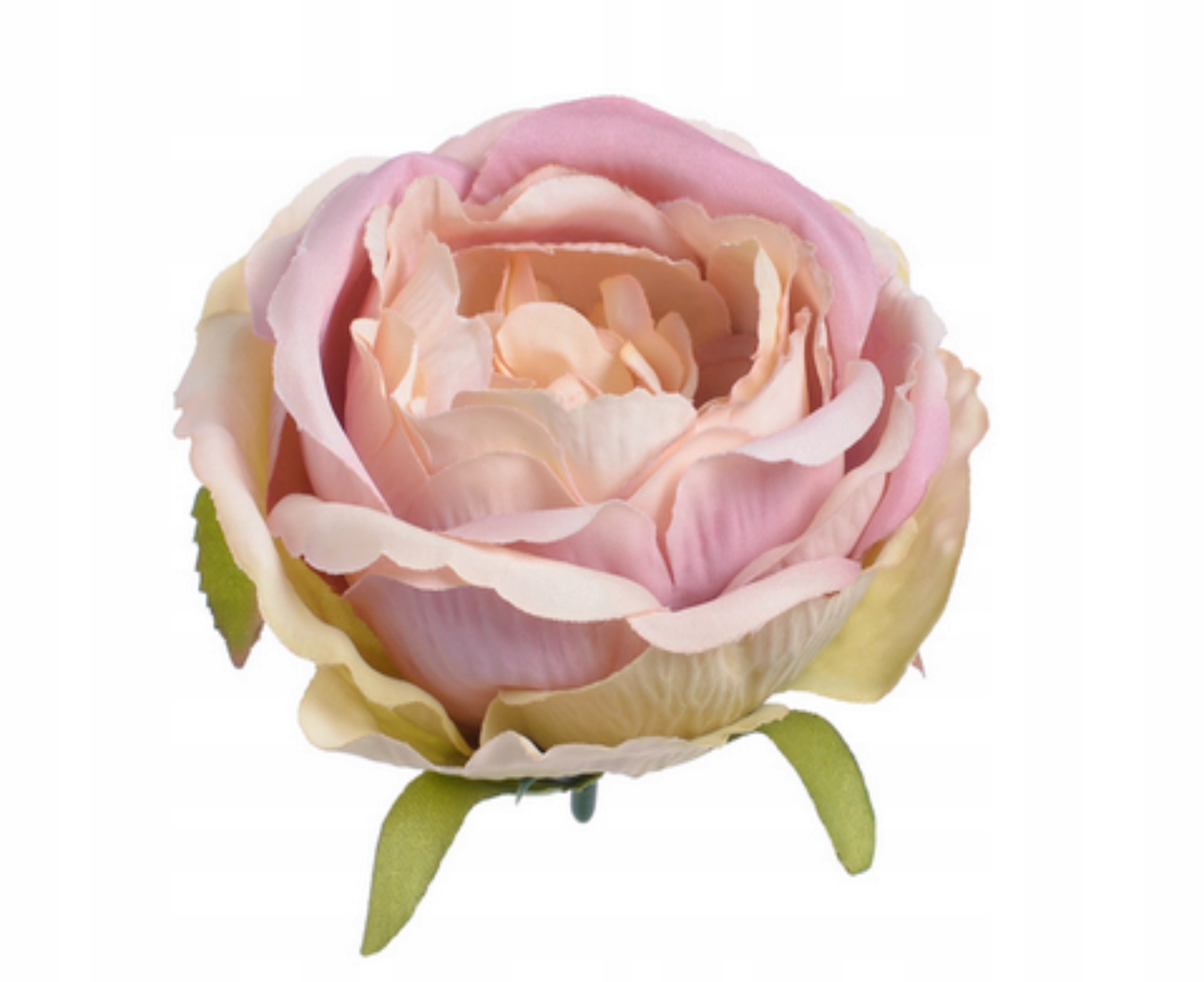 

Róża Wyrobowa Główka Różowo Kremowa 9cm