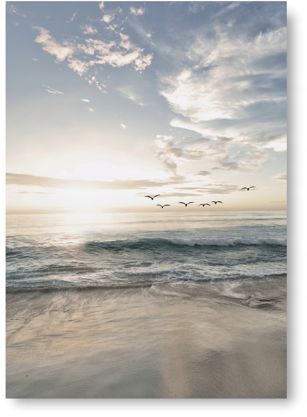 PLAŻA PTAKI plakat obraz 21x30 cm obraz #115