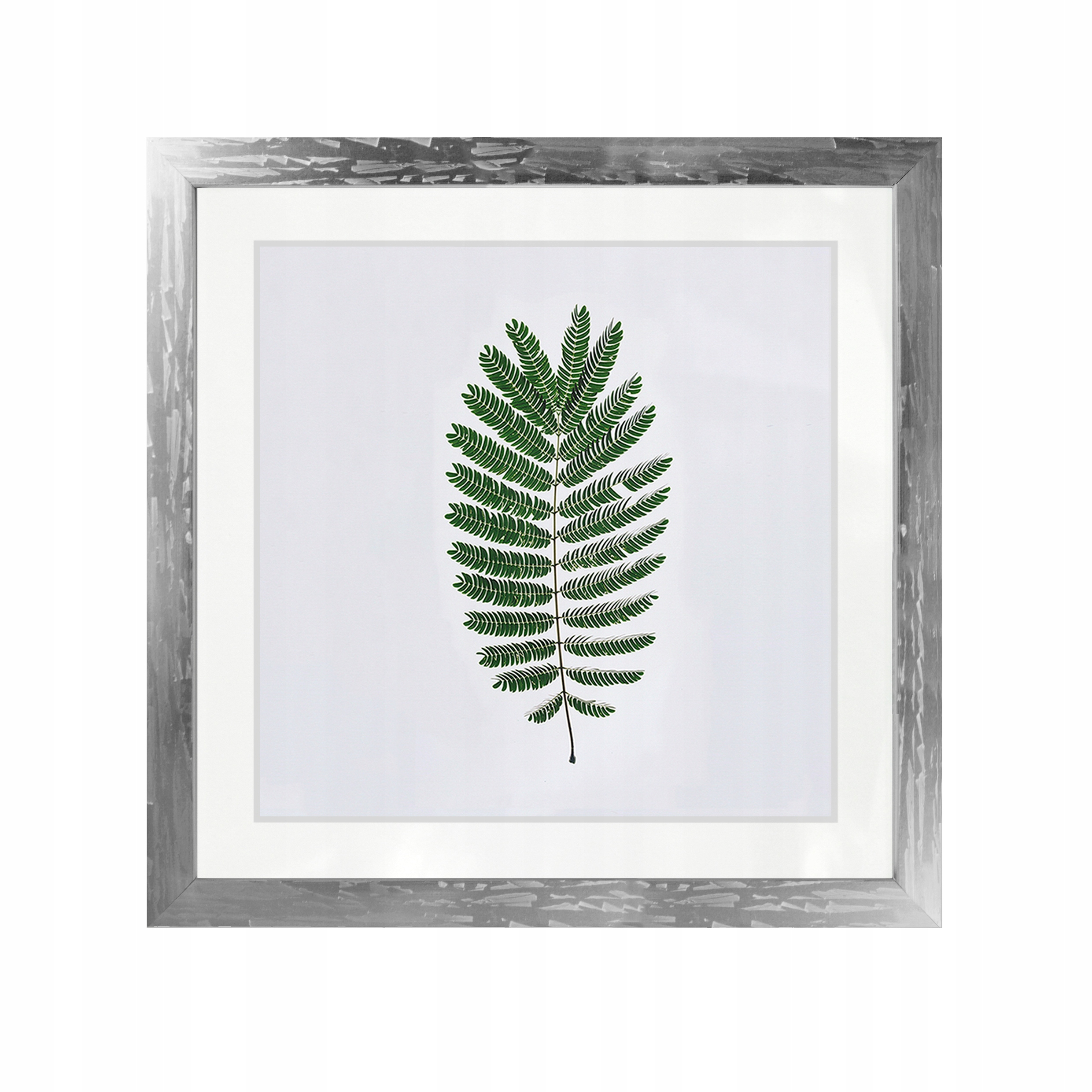 

Ramka Na Zdjęcia 40x40 Passe-partout Ramki Srebrna