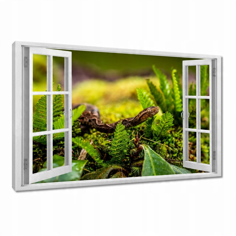 

Obrazy 60x40 Zwierzęta Zwierzątka