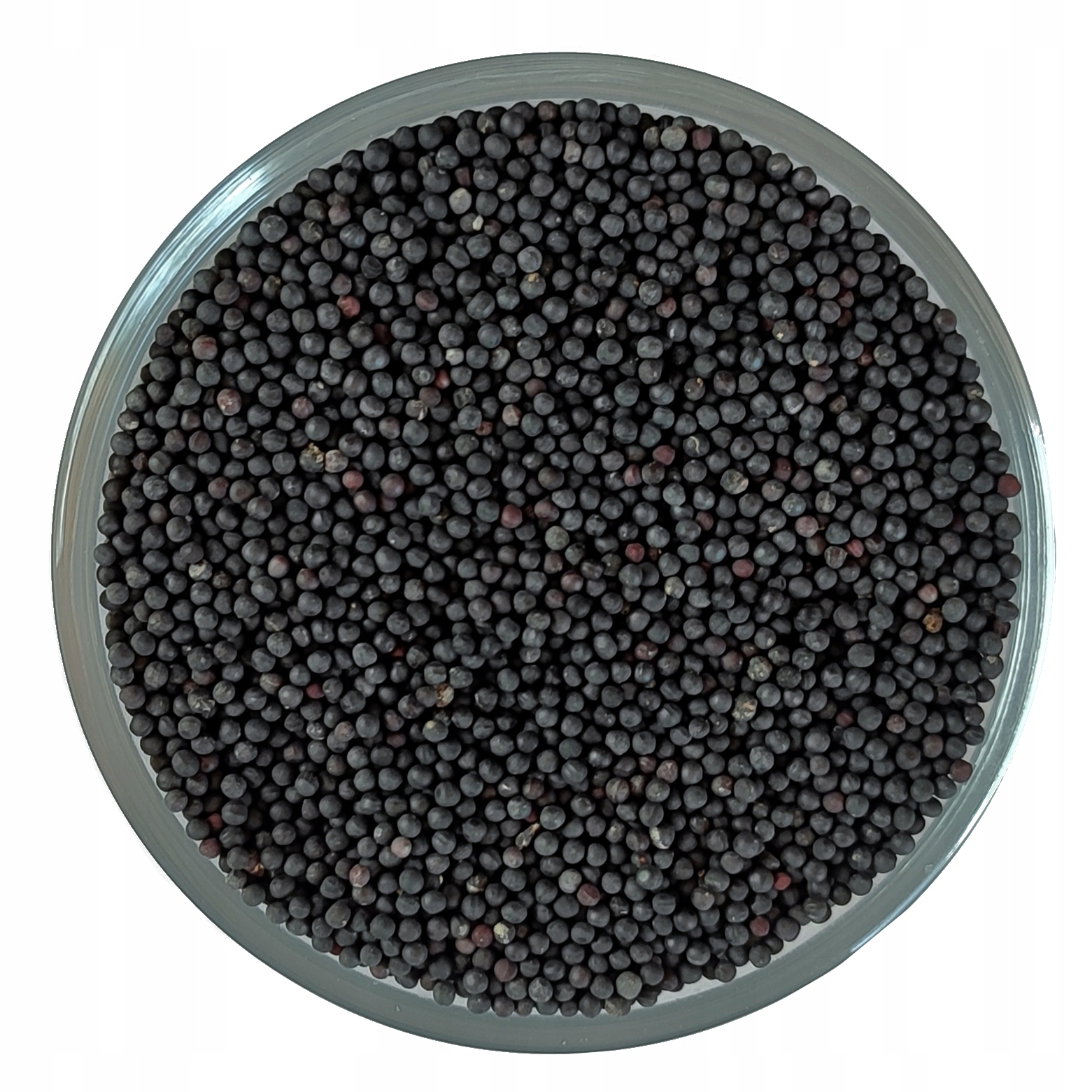 Levně Krowiziół Wakaria čínská Wang Bu Liu Xing 1 kg