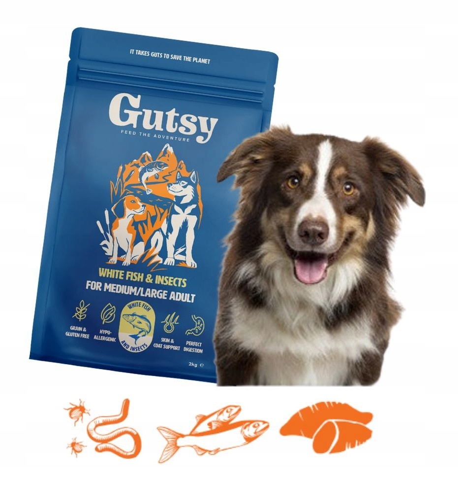 Levně Suché Krmivo pro psy s alergií na hmyz Ryba Hmyz Velká Plemena Gutsy 2 kg