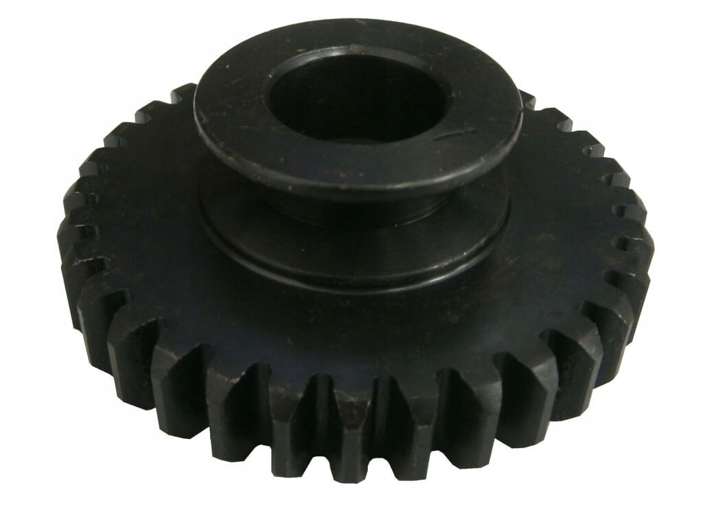 Koło Zębate Glebogryzarki Hortmasz Tig 6580