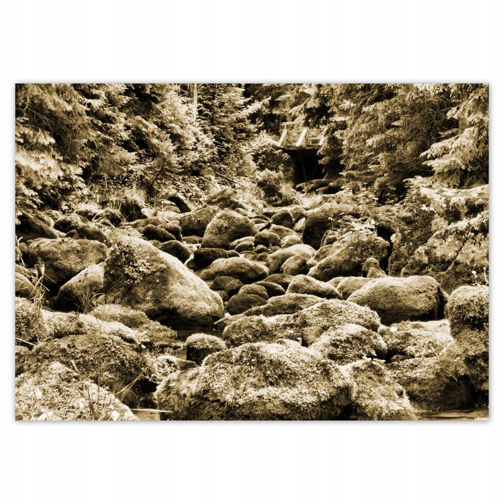

Naklejki 70x50 Tatry Polskie góry Widok