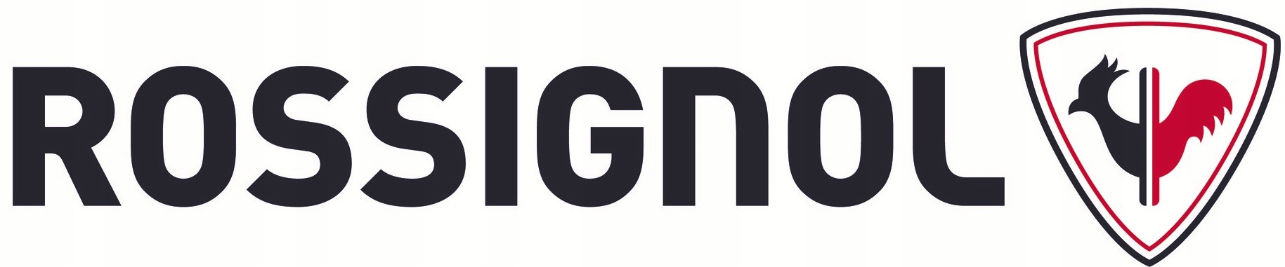 BUTY ROSSIGNOL HERO J4 22 JUNIOR METEOR GREY RBL5050 Płeć chłopiec