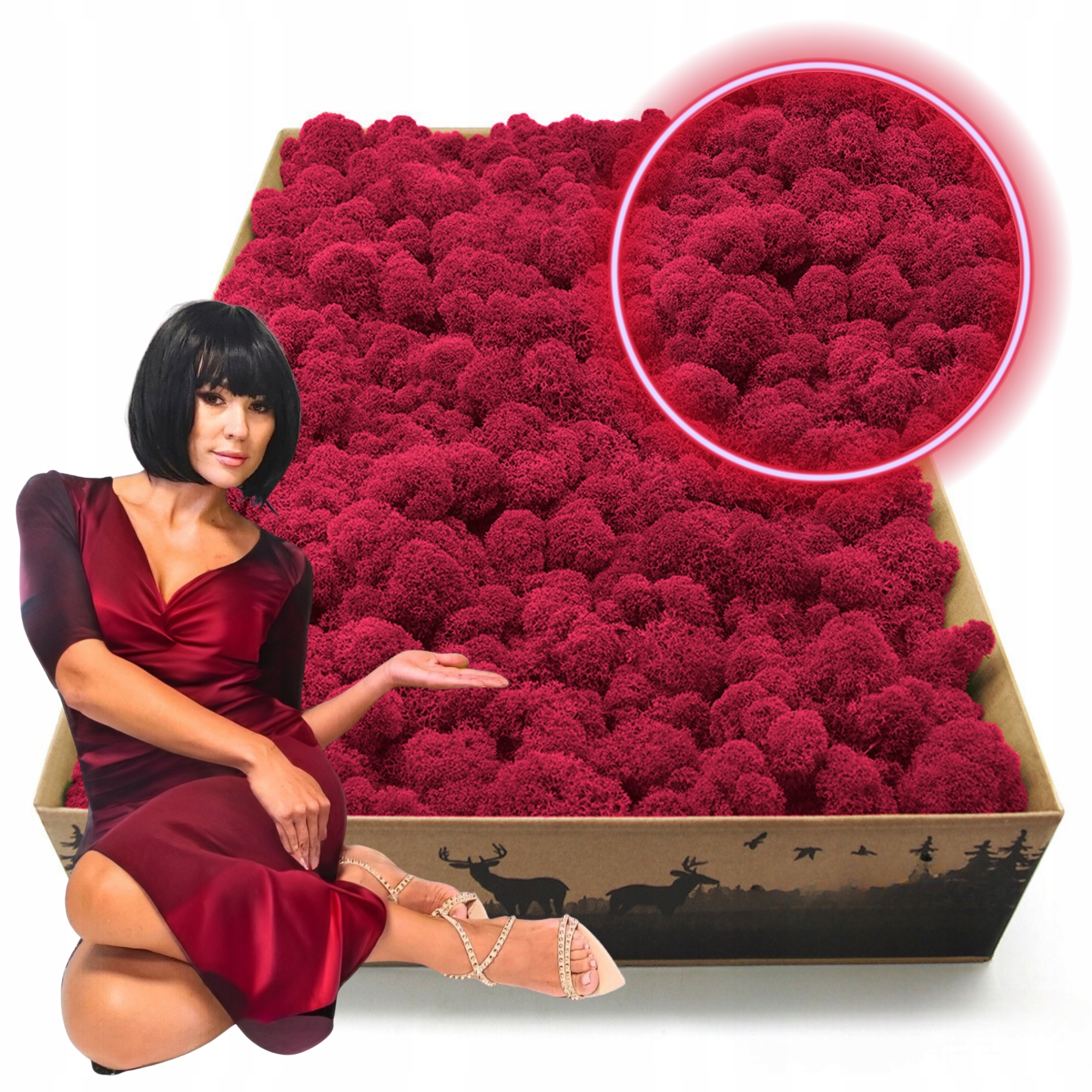 Mech Chrobotek Reniferový finský 2kg Čištěný Premium nejvyšší kvalita