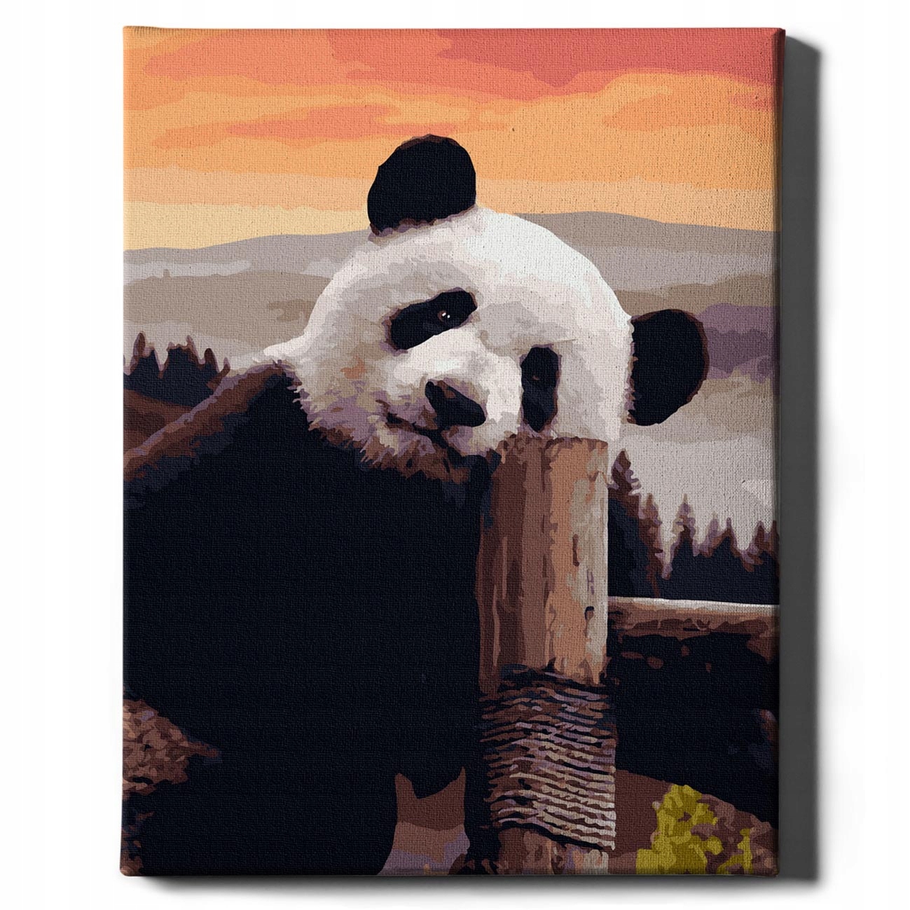 Malování Podle Čísel Panda Obrázky pro malování podle čísel s rámem Oh Art