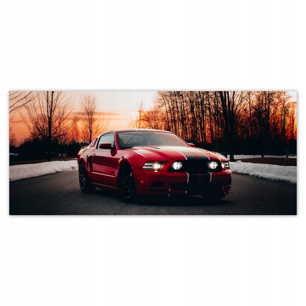 

Fototapety flizelina 211x91 Ford Mustang