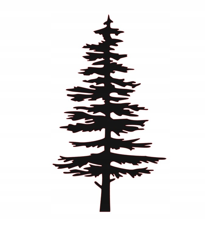 

Naklejka Na Auto Szybę Drzewo Sosna Świerk