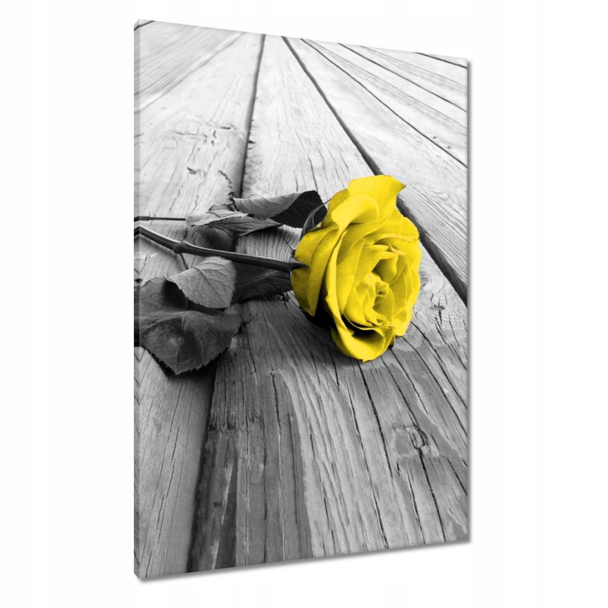 Obrazy 70x100 Žlutá růže na deskách