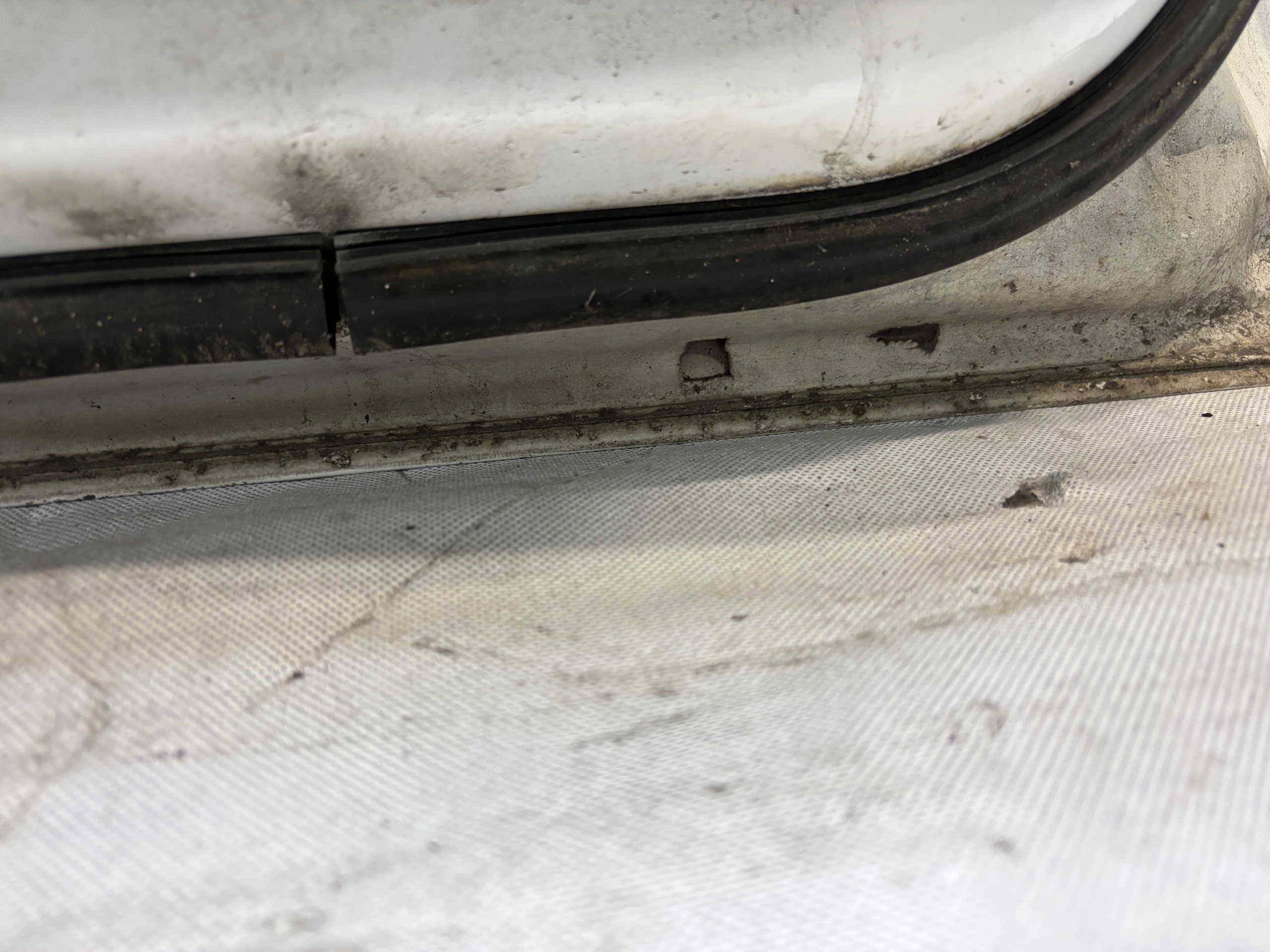 Tür links heck Peugeot 301 k: EWP