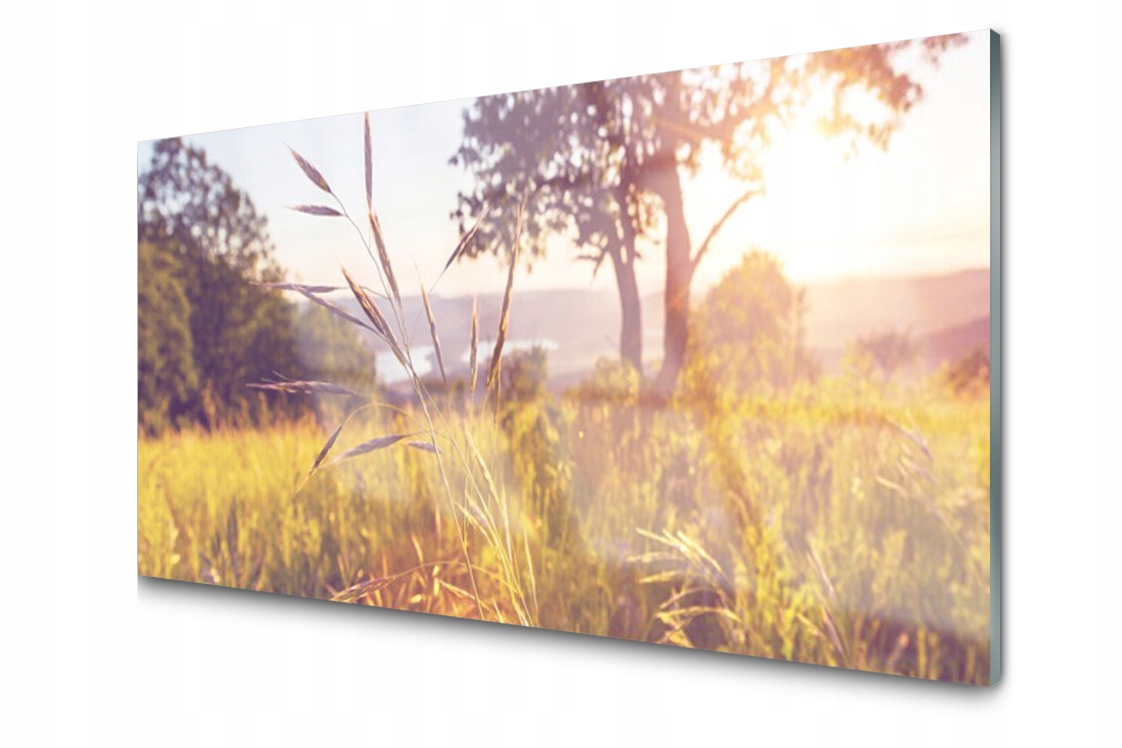 Sklenený panel Doska Lúka Tráva Strom 120x60